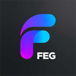 FEG logo